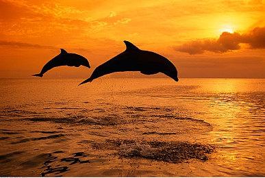 《艾尔登法环：黑夜君临》首日销量超过200万套 新补丁将改进单人体验